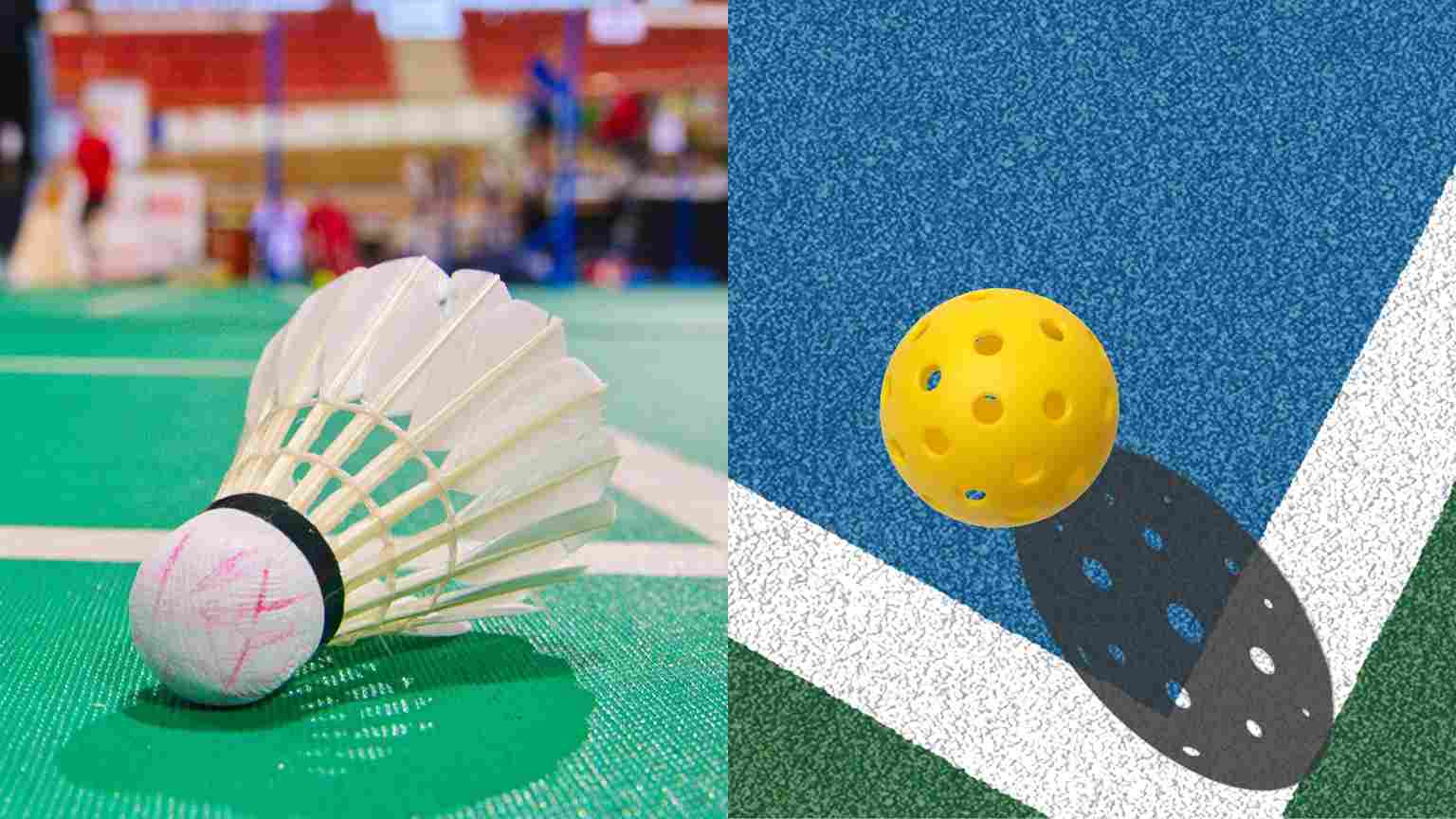 pickleball court vs badminton court